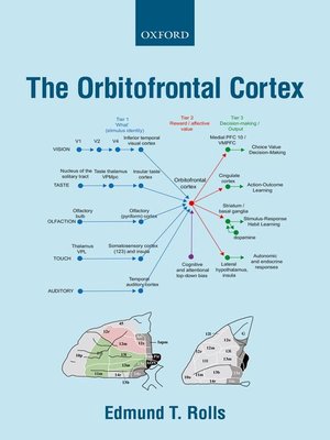 cover image of The Orbitofrontal Cortex